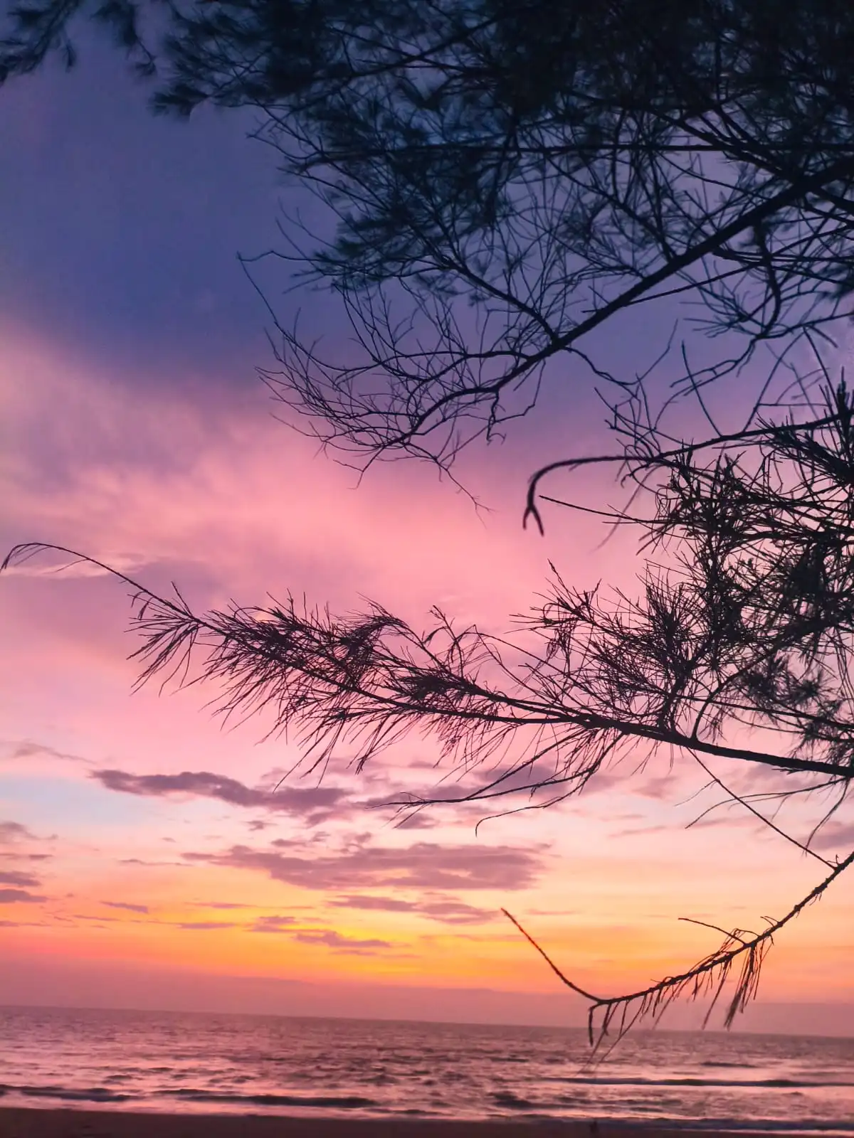 Sunset sky